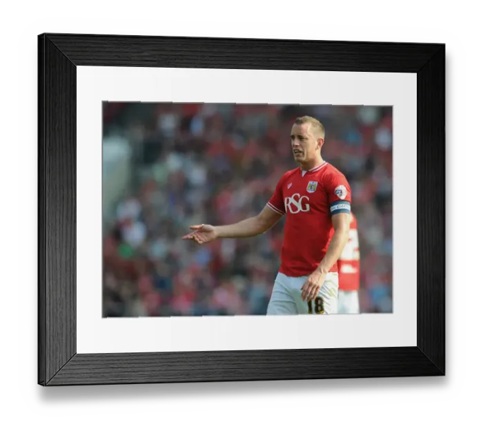 Framed Print : Bristol City vs Reading: Aaron Wilbraham in Action at Ashton Gate, 2015