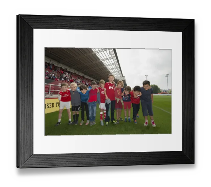 Framed Print : Sky Bet Championship Showdown: Bristol City vs Reading at Ashton Gate (2015) Framed Print : Sky Bet Championship Showdown: Bristol City vs Reading at Ashton Gate (2015)