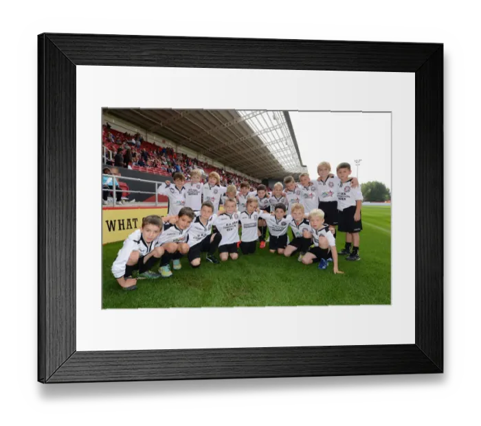 Framed Print : Sky Bet Championship Showdown: Bristol City vs Reading at Ashton Gate (September 19, 2015) Framed Print : Sky Bet Championship Showdown: Bristol City vs Reading at Ashton Gate (September 19, 2015)