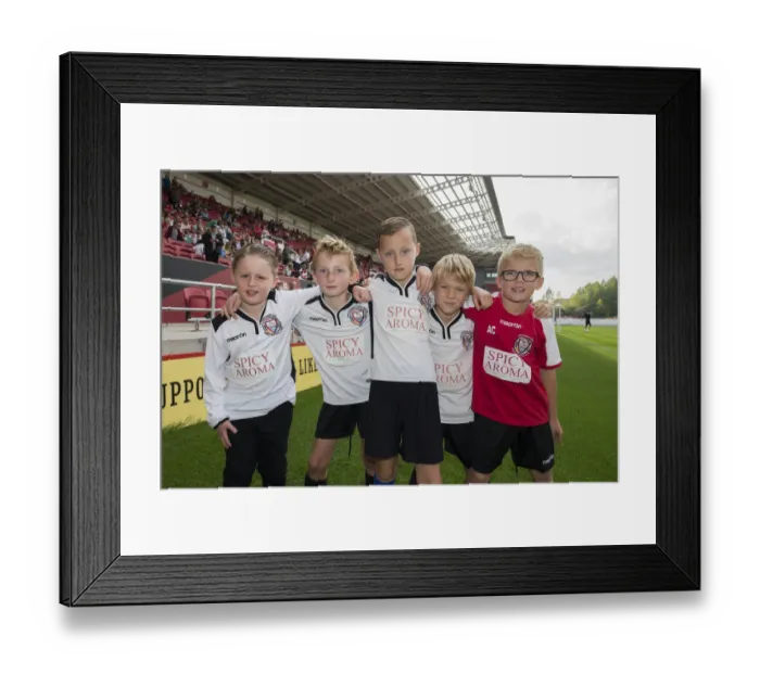 Framed Print : Sky Bet Championship Showdown: Bristol City vs. Reading at Ashton Gate (2015) Framed Print : Sky Bet Championship Showdown: Bristol City vs. Reading at Ashton Gate (2015)