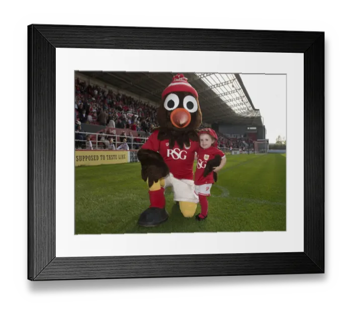 Framed Print : Bristol City vs Reading: Clash at Ashton Gate, Sky Bet Championship 2015