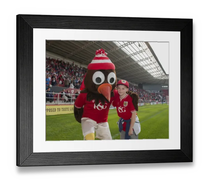 Framed Print : Sky Bet Championship Showdown: Bristol City vs Reading at Ashton Gate, 2015 Framed Print : Sky Bet Championship Showdown: Bristol City vs Reading at Ashton Gate, 2015