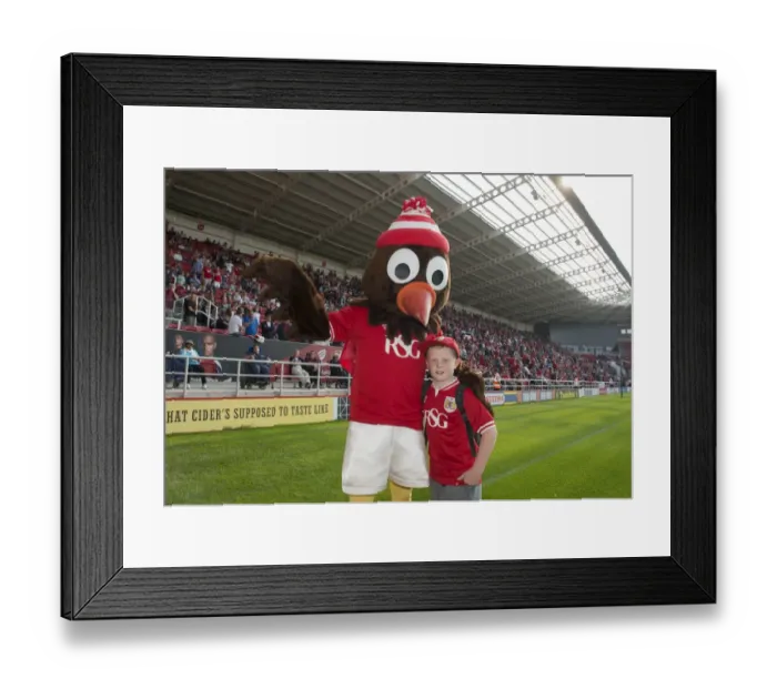 Framed Print : Sky Bet Championship Showdown: A Riveting Football Clash Between Bristol City and Reading at Ashton Gate, 2015 Framed Print : Sky Bet Championship Showdown: A Riveting Football Clash Between Bristol City and Reading at Ashton Gate, 2015