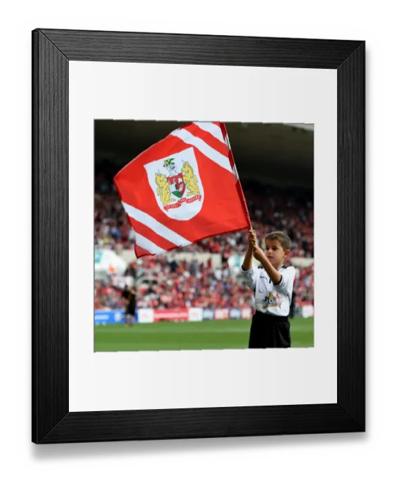 Framed Print : Sky Bet Championship Showdown: Bristol City vs Reading at Ashton Gate Stadium (September 19, 2015) Framed Print : Sky Bet Championship Showdown: Bristol City vs Reading at Ashton Gate Stadium (September 19, 2015)