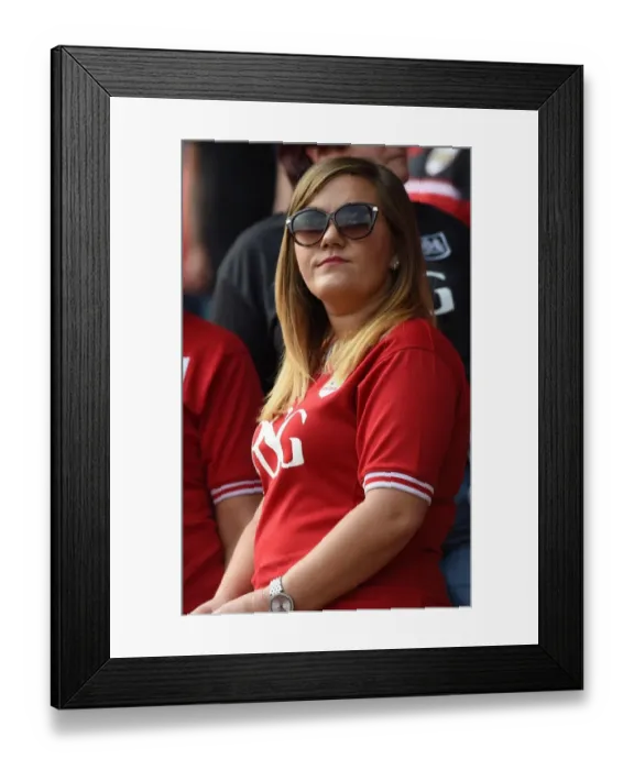 Framed Print : Sky Bet Championship Showdown: Bristol City vs. Reading at Ashton Gate Stadium (September 2015) Framed Print : Sky Bet Championship Showdown: Bristol City vs. Reading at Ashton Gate Stadium (September 2015)