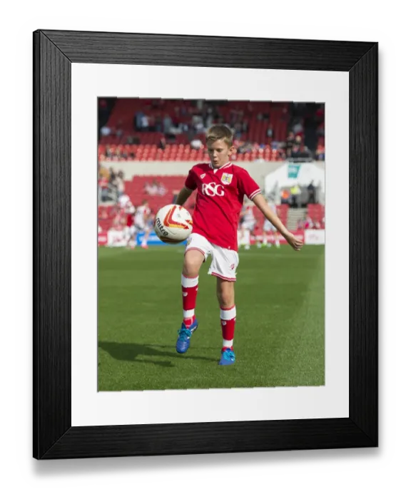 Framed Print : Sky Bet Championship Showdown: Bristol City vs Reading at Ashton Gate Stadium (September 19, 2015)