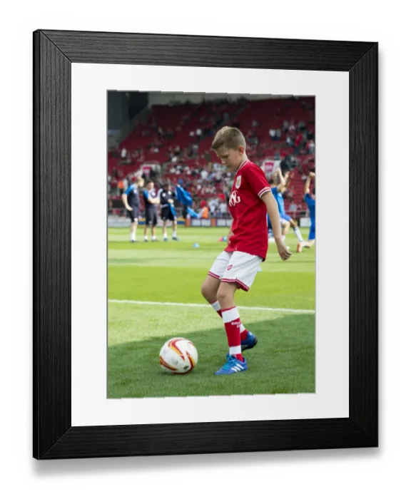 Framed Print : Sky Bet Championship Showdown: Bristol City vs Reading at Ashton Gate Stadium (September 19, 2015)