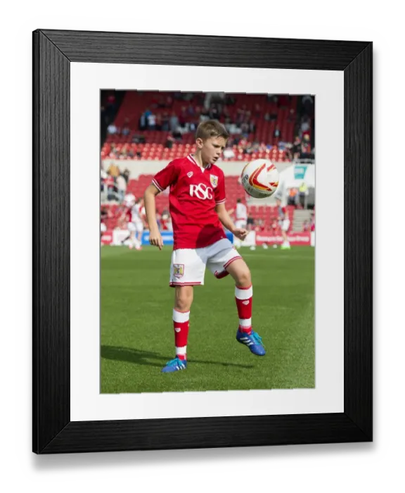 Framed Print : Sky Bet Championship Showdown: Bristol City vs Reading at Ashton Gate Stadium (September 19, 2015)