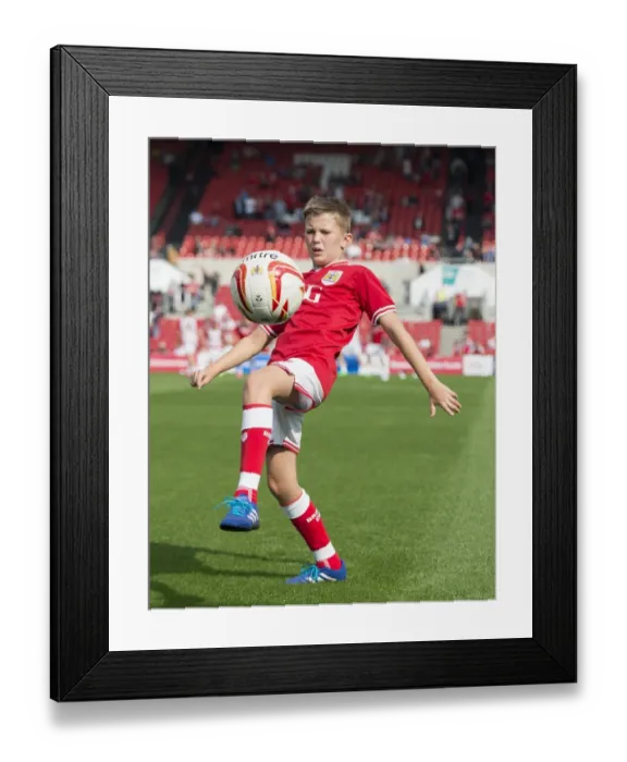 Framed Print : Sky Bet Championship Showdown: Bristol City vs Reading at Ashton Gate Stadium (September 19, 2015) Framed Print : Sky Bet Championship Showdown: Bristol City vs Reading at Ashton Gate Stadium (September 19, 2015)