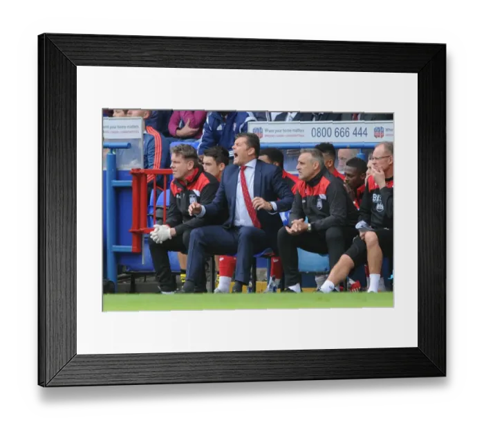 Framed Print : Steve Cotterill Leads Bristol City at Portman Road Against Ipswich Town, Sky Bet Championship (September 2015)