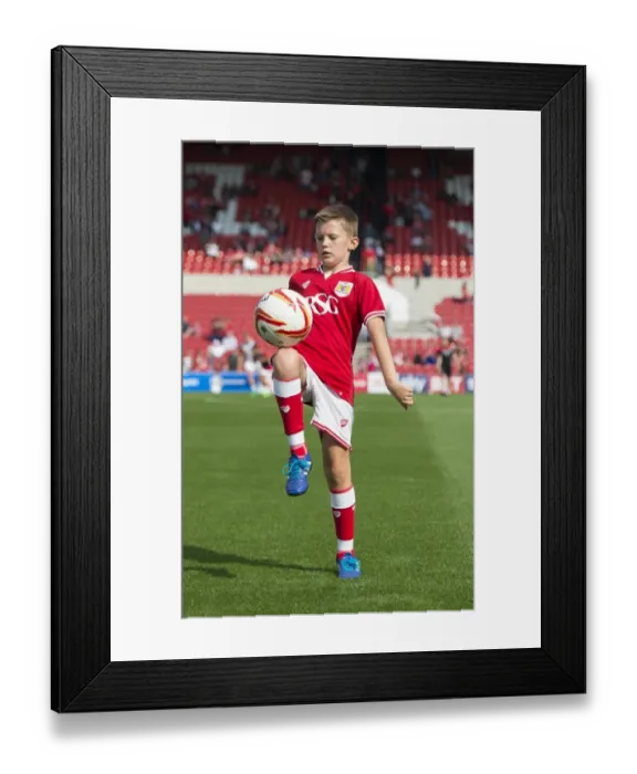 Framed Print : Bristol City vs Reading at Ashton Gate Stadium, 2015 - Sky Bet Championship Clash
