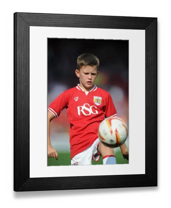 Framed Print : Sky Bet Championship Showdown: Bristol City vs Reading at Ashton Gate Stadium (September 19, 2015)