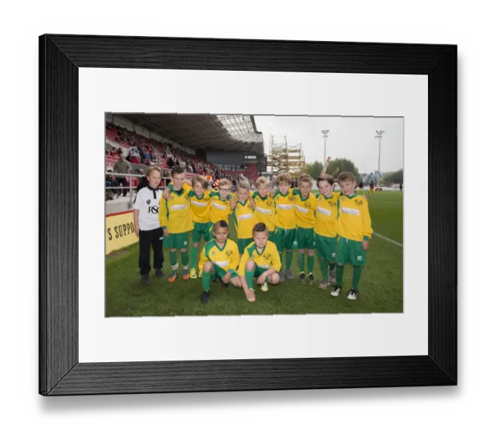 Framed Print : Bristol City vs MK Dons Football Match at Ashton Gate - Sky Bet Championship (October 2015) Framed Print : Bristol City vs MK Dons Football Match at Ashton Gate - Sky Bet Championship (October 2015)