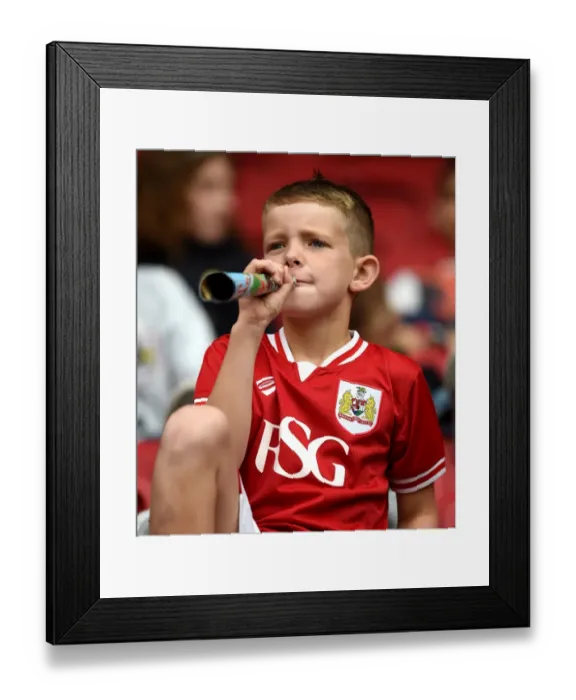 Framed Print : Bristol City vs MK Dons: A Fan's View of the Sky Bet Championship Clash at Ashton Gate Stadium (October 3, 2015)