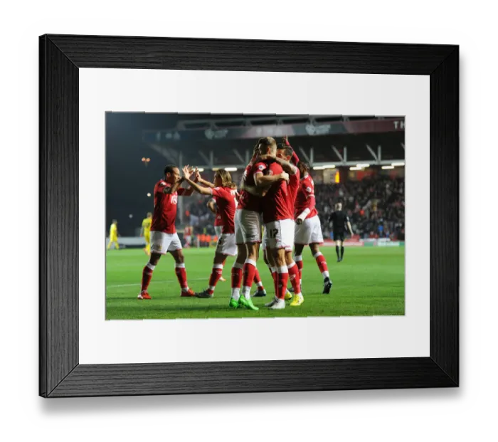 Framed Print : Bristol City Celebrate: Aaron Wilbraham Scores First Goal Against Nottingham Forest (16 / 10 / 2015) Framed Print : Bristol City Celebrate: Aaron Wilbraham Scores First Goal Against Nottingham Forest (16 / 10 / 2015)