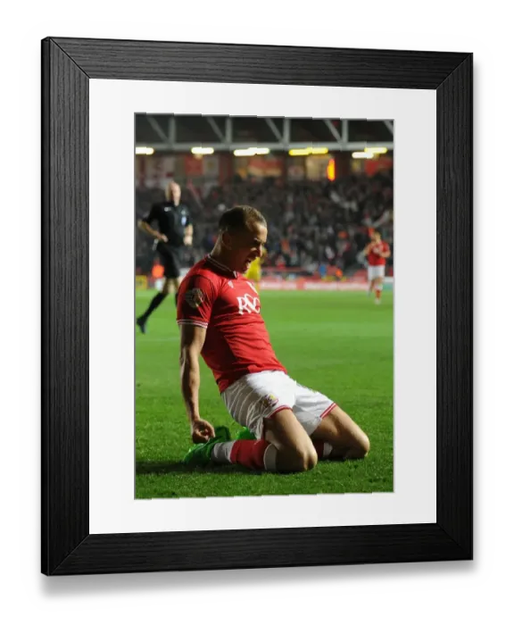 Framed Print : Aaron Wilbraham's Thrilling Goal Celebration: Bristol City vs. Nottingham Forest, Sky Bet Championship 2015 Framed Print : Aaron Wilbraham's Thrilling Goal Celebration: Bristol City vs. Nottingham Forest, Sky Bet Championship 2015