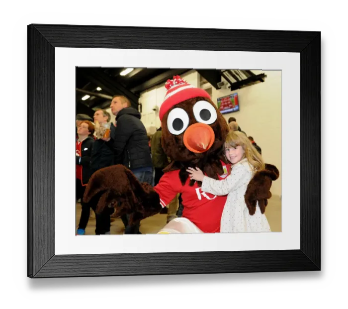 Framed Print : Young Supporter Shares Excitement with Scrumpy at Bristol City vs. Nottingham Forest Match, Ashton Gate Stadium, 2015 Framed Print : Young Supporter Shares Excitement with Scrumpy at Bristol City vs. Nottingham Forest Match, Ashton Gate Stadium, 2015
