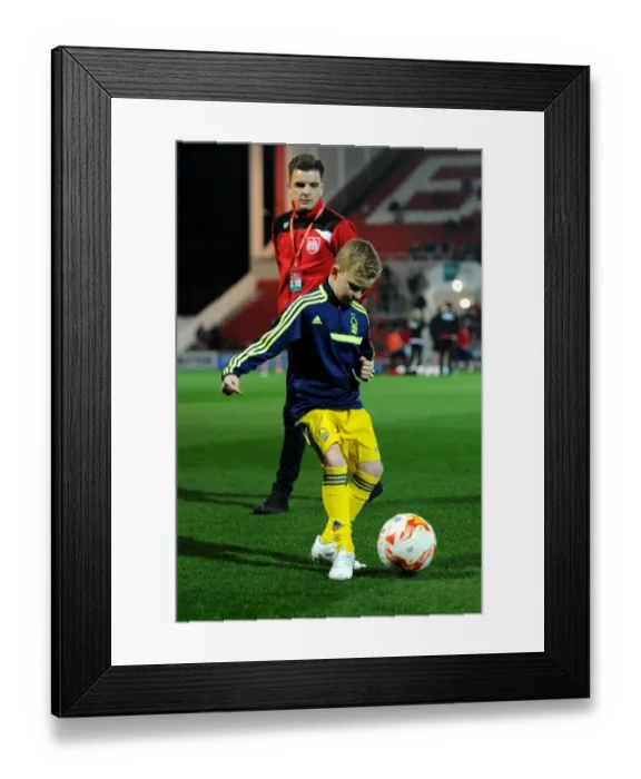 Framed Print : Sky Bet Championship Showdown: Bristol City vs Nottingham Forest at Ashton Gate Stadium (October 2015) Framed Print : Sky Bet Championship Showdown: Bristol City vs Nottingham Forest at Ashton Gate Stadium (October 2015)