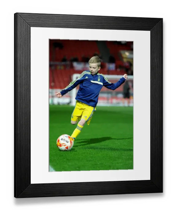 Framed Print : Bristol City vs. Nottingham Forest Clash at Ashton Gate Stadium, Sky Bet Championship (October 2015) Framed Print : Bristol City vs. Nottingham Forest Clash at Ashton Gate Stadium, Sky Bet Championship (October 2015)