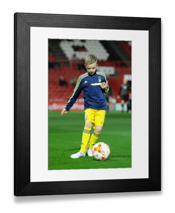 Framed Print : Bristol City vs Nottingham Forest Clash at Ashton Gate Stadium, Sky Bet Championship (October 2015)