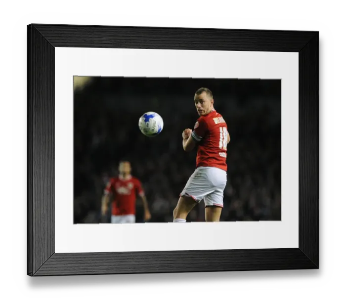 Framed Print : Aaron Wilbraham of Bristol City in Action Against Brighton, 2015 Sky Bet Championship Framed Print : Aaron Wilbraham of Bristol City in Action Against Brighton, 2015 Sky Bet Championship