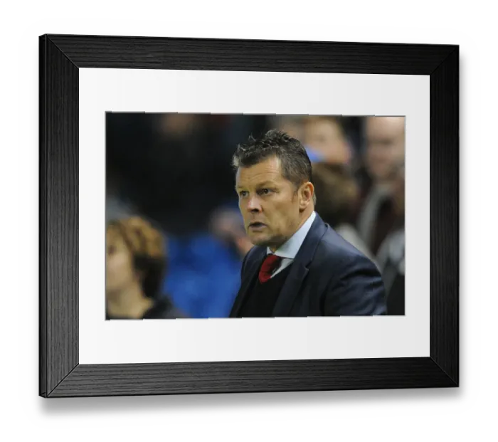 Framed Print : Steve Cotterill Leads Bristol City at Brighton's American Express Community Stadium (2015) Framed Print : Steve Cotterill Leads Bristol City at Brighton's American Express Community Stadium (2015)