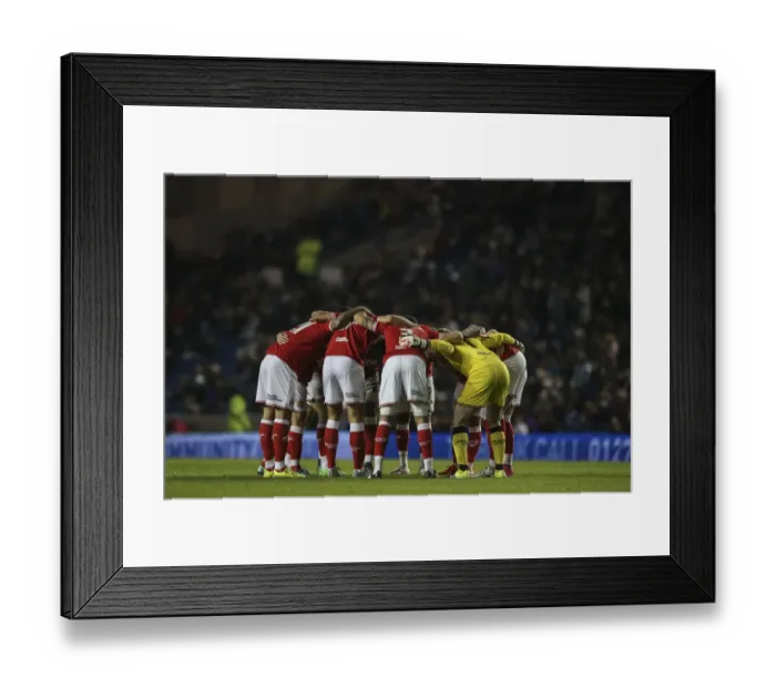 Framed Print : Brighton vs. Bristol City Clash in Championship Match, 2015 Framed Print : Brighton vs. Bristol City Clash in Championship Match, 2015
