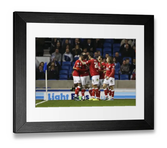 Framed Print : Derrick Williams Scores the Winner: Brighton & Hove Albion 0-1 Bristol City (2015)