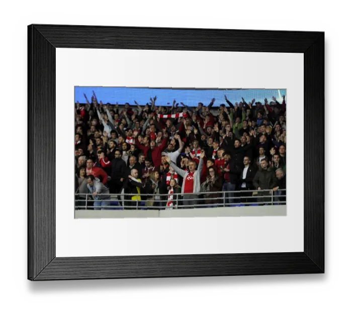 Framed Print : Cardiff City vs. Bristol City: A Sea of Passionate Fans at Cardiff City Stadium, 2015 Framed Print : Cardiff City vs. Bristol City: A Sea of Passionate Fans at Cardiff City Stadium, 2015