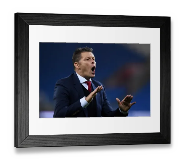 Framed Print : Steve Cotterill Leads Bristol City at Cardiff City Stadium, 26th October 2015 Framed Print : Steve Cotterill Leads Bristol City at Cardiff City Stadium, 26th October 2015
