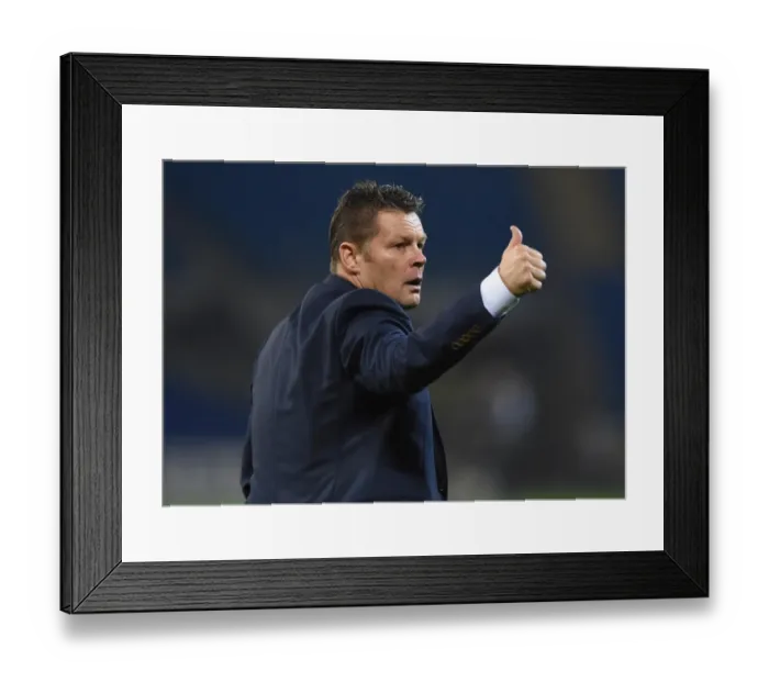 Framed Print : Steve Cotterill and Bristol City Face Cardiff City in Sky Bet Championship Showdown, October 2015 Framed Print : Steve Cotterill and Bristol City Face Cardiff City in Sky Bet Championship Showdown, October 2015