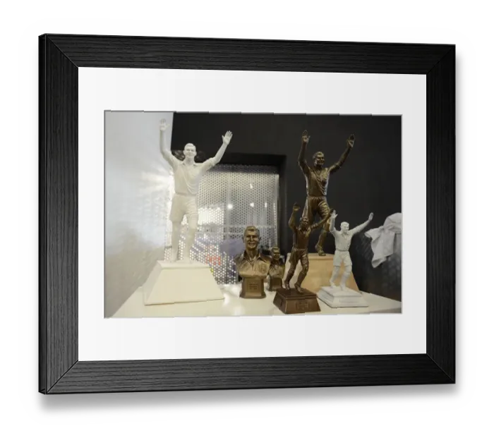 Framed Print : Bristol City v Fulham 311015