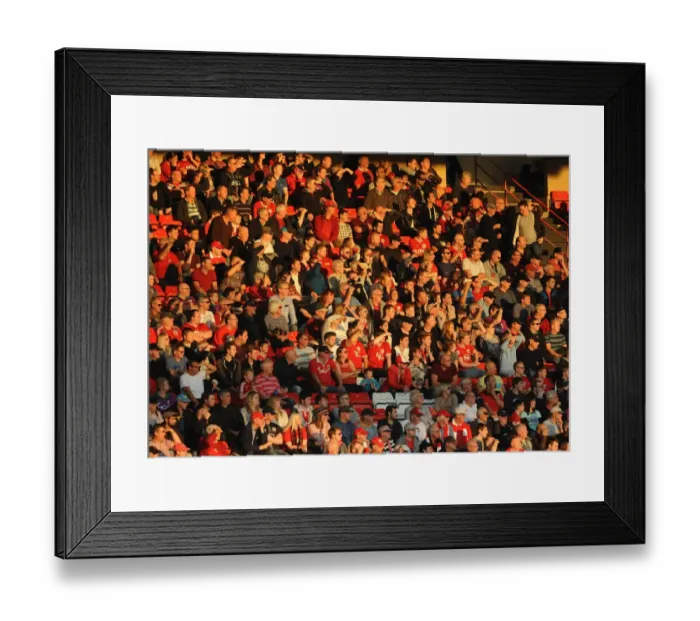 Framed Print : Bristol City Fans Watch Intently as the Action Unfolds at Ashton Gate - Sky Bet Championship: Bristol City vs Fulham (31 / 10 / 2015)