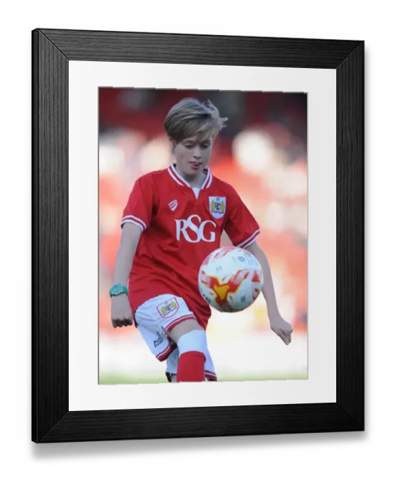 Framed Print : Bristol City FC: Mandatory Image of Mascot at Ashton Gate during Fulham Match, October 2015 Framed Print : Bristol City FC: Mandatory Image of Mascot at Ashton Gate during Fulham Match, October 2015
