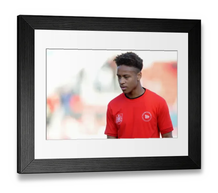 Framed Print : Bobby Reid in Movember: Bristol City vs. Fulham, 31st October 2015