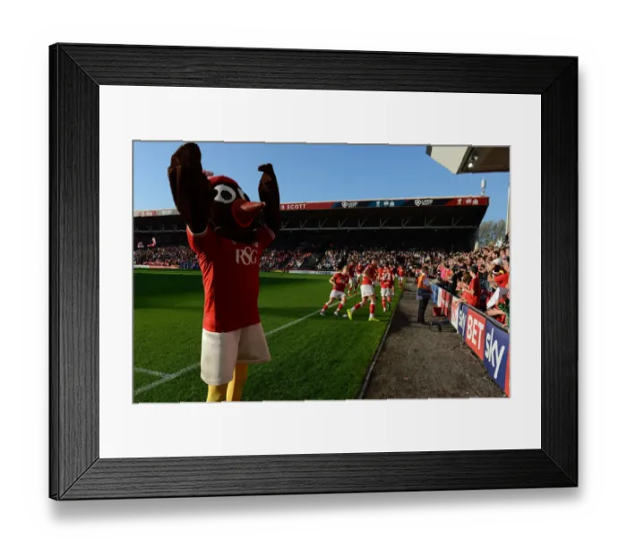 Framed Print : Bristol City vs Fulham: Scrumpy the Robin at Ashton Gate, October 2015 Framed Print : Bristol City vs Fulham: Scrumpy the Robin at Ashton Gate, October 2015