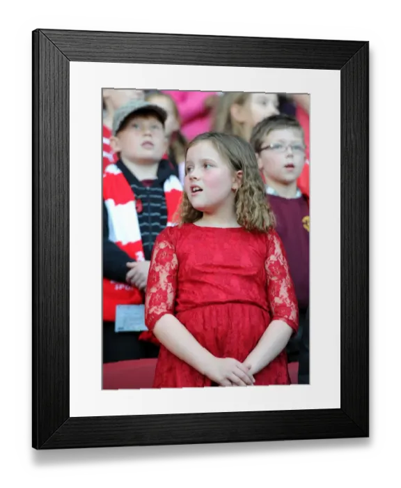 Framed Print : Sky Bet Championship Showdown: Bristol City vs Fulham at Ashton Gate Stadium (October 2015)