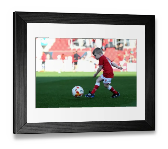 Framed Print : Sky Bet Championship Showdown: Bristol City vs Fulham at Ashton Gate Stadium (October 2015)