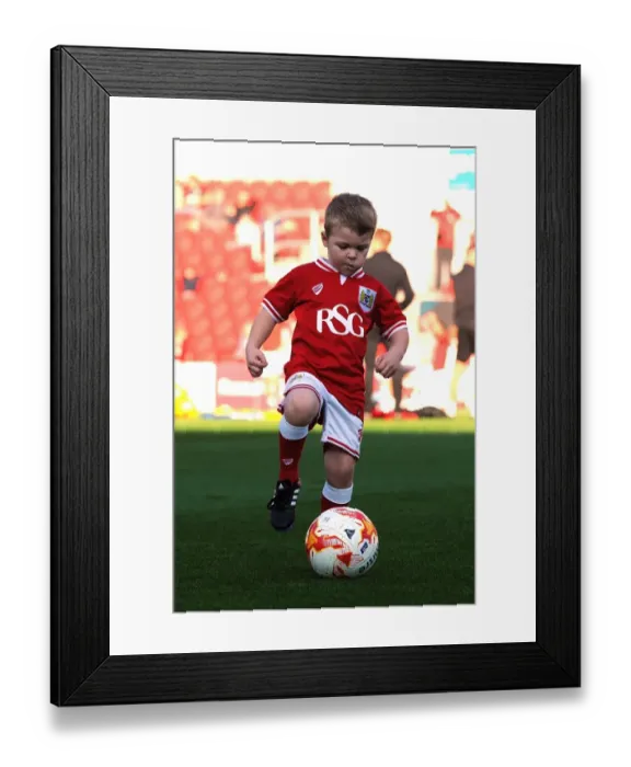 Framed Print : Sky Bet Championship Showdown: Bristol City vs Fulham at Ashton Gate Stadium (October 2015) Framed Print : Sky Bet Championship Showdown: Bristol City vs Fulham at Ashton Gate Stadium (October 2015)