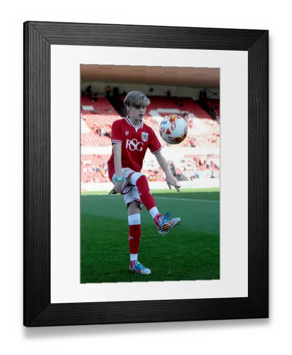 Framed Print : Sky Bet Championship Showdown: Bristol City vs Fulham at Ashton Gate Stadium (October 2015)