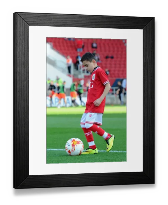 Framed Print : Sky Bet Championship Showdown: Bristol City vs Fulham at Ashton Gate Stadium (October 2015)
