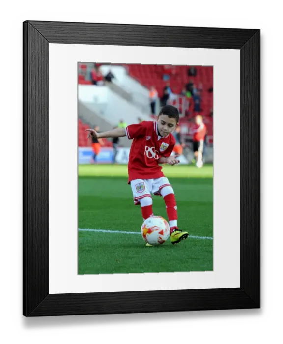 Framed Print : Sky Bet Championship Showdown: Bristol City vs Fulham at Ashton Gate Stadium (October 2015) Framed Print : Sky Bet Championship Showdown: Bristol City vs Fulham at Ashton Gate Stadium (October 2015)