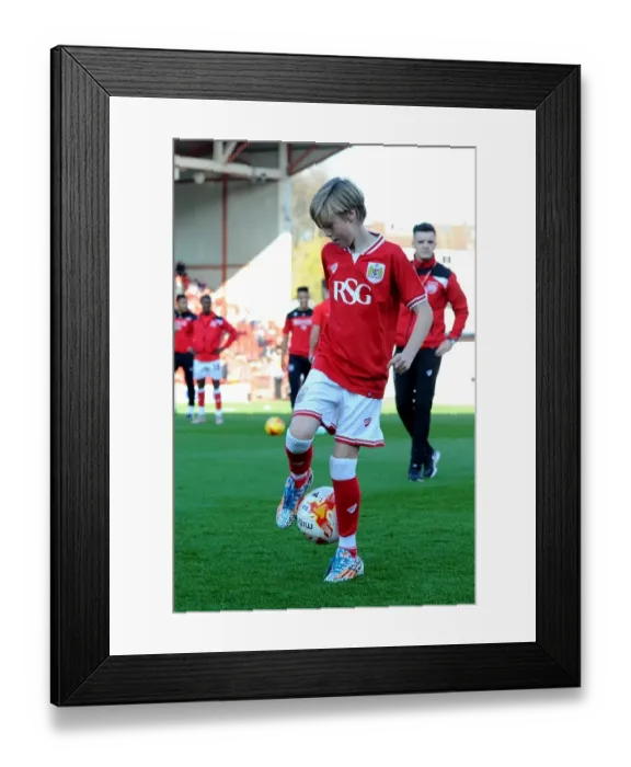 Framed Print : Sky Bet Championship Showdown: Bristol City vs Fulham at Ashton Gate Stadium (October 2015)