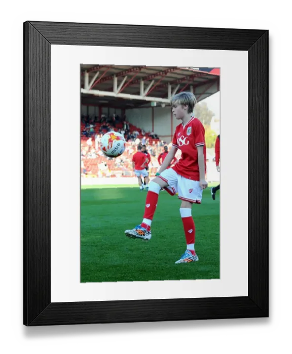 Framed Print : Sky Bet Championship Showdown: Bristol City vs Fulham at Ashton Gate Stadium (October 31, 2015) Framed Print : Sky Bet Championship Showdown: Bristol City vs Fulham at Ashton Gate Stadium (October 31, 2015)