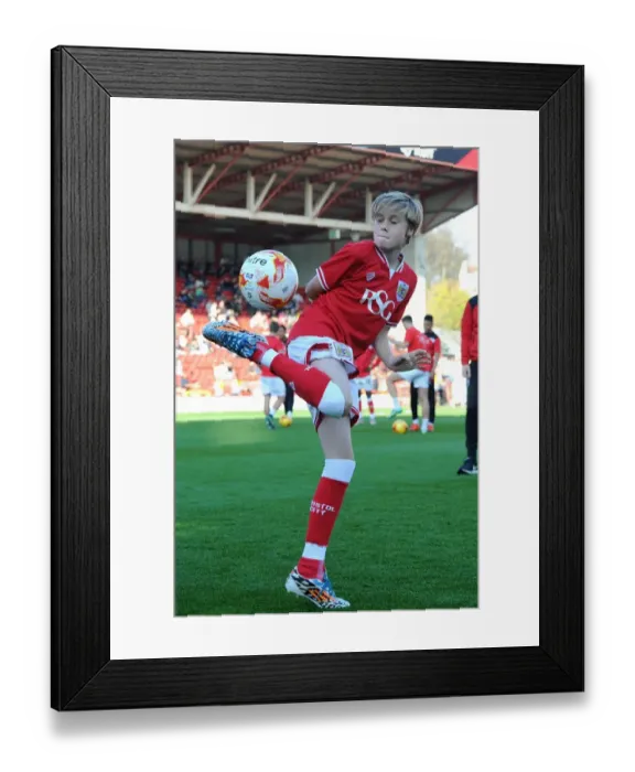 Framed Print : Bristol City vs Fulham Clash at Ashton Gate Stadium, Sky Bet Championship (October 2015)
