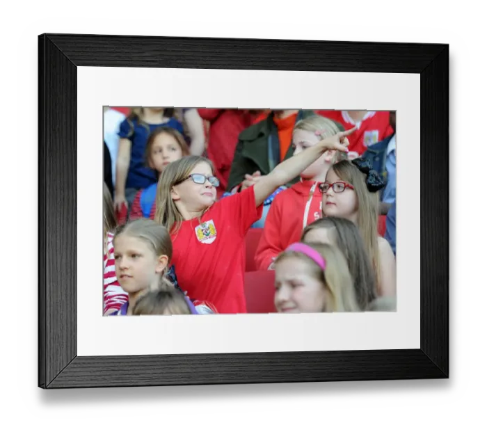 Framed Print : Tension at Ashton Gate: Bristol City vs. Fulham, Sky Bet Championship Match, October 2015