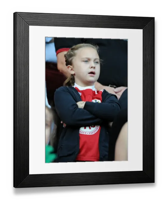 Framed Print : Bristol City vs. Fulham: A Fan's Perspective at the Sky Bet Championship Match, October 2015 Framed Print : Bristol City vs. Fulham: A Fan's Perspective at the Sky Bet Championship Match, October 2015