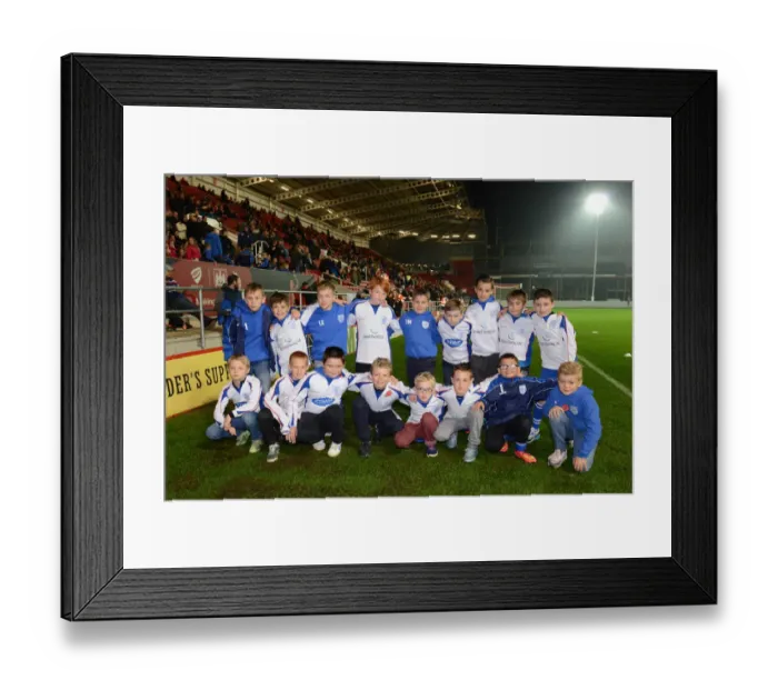 Framed Print : Sky Bet Championship Showdown: Bristol City vs Wolves at Ashton Gate, November 2015 - Game Day Image Framed Print : Sky Bet Championship Showdown: Bristol City vs Wolves at Ashton Gate, November 2015 - Game Day Image