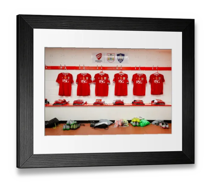 Framed Print : Bristol City Football Club - Sky Bet Championship Match against Wolves: Poppy Tribute to Remembrance Day (November 3, 2015)