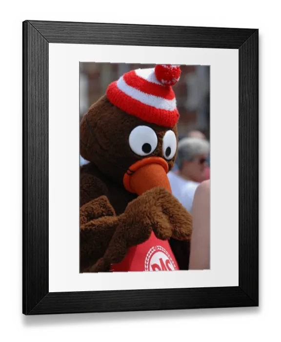Framed Print : Bristol City FC Open Day with First Team - 2008-2009 Season Framed Print : Bristol City FC Open Day with First Team - 2008-2009 Season